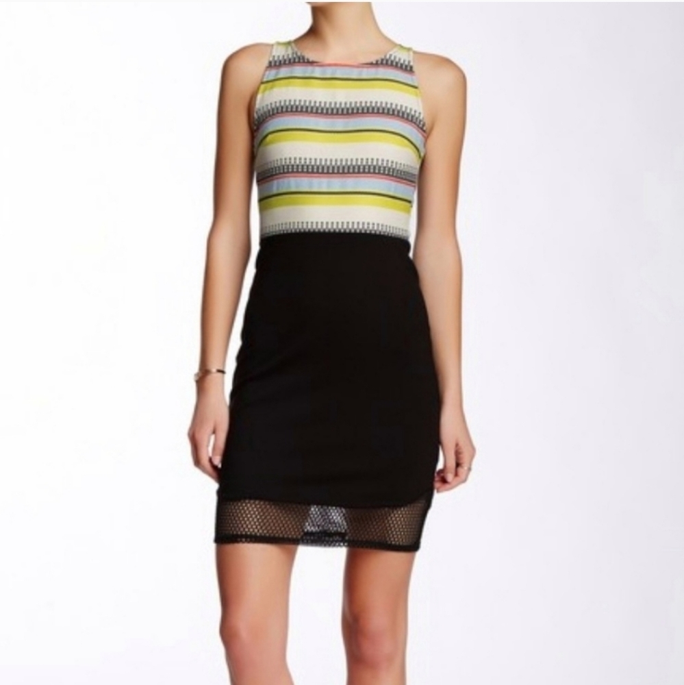 Weston Wear NWT Erin Embroidered Mini Dress